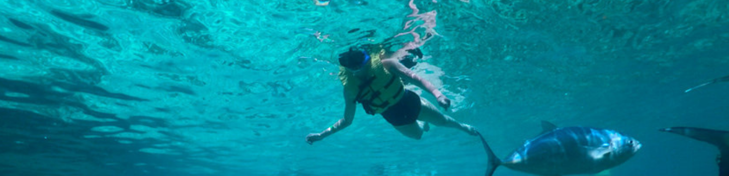 Theme Parks in Cancún, Q.R., México